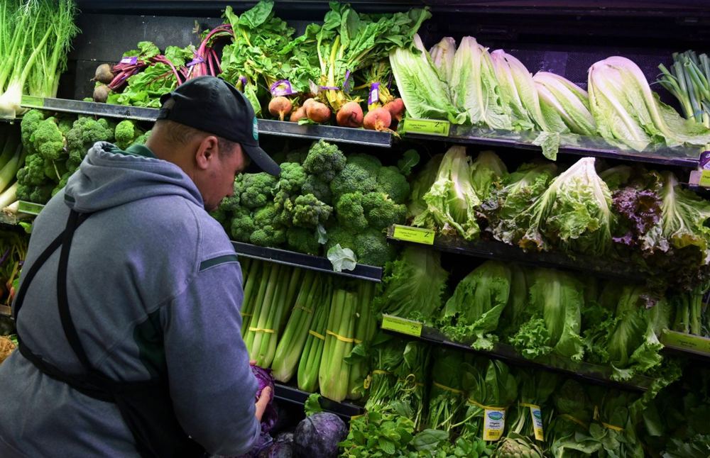 Demand shock sends lettuce prices to record drop as chains suffer