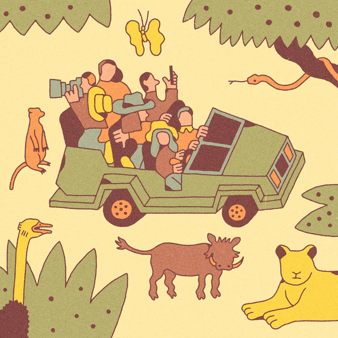 How to Plan an African Safari