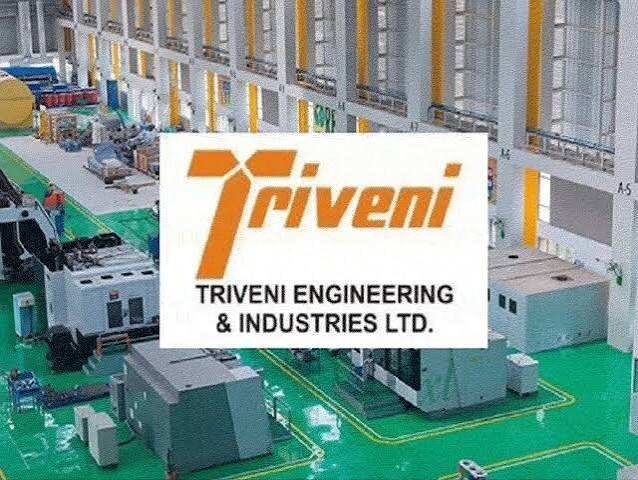 Triveni Engineering shares adjust 38.5% on power transmission demerger