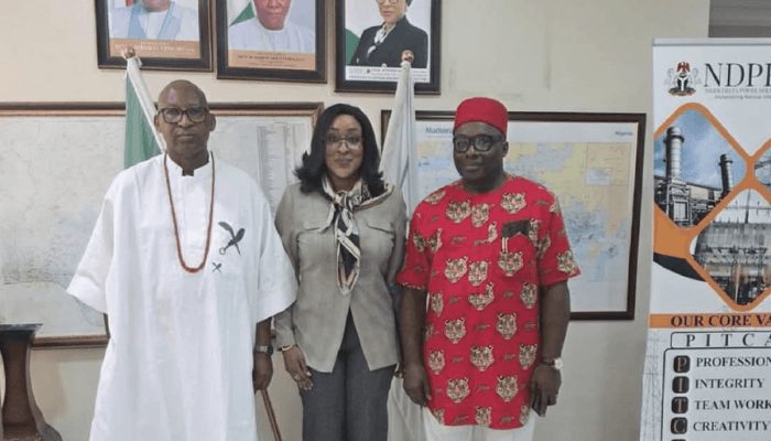 NDPHC names two executive directors in leadership overhaul