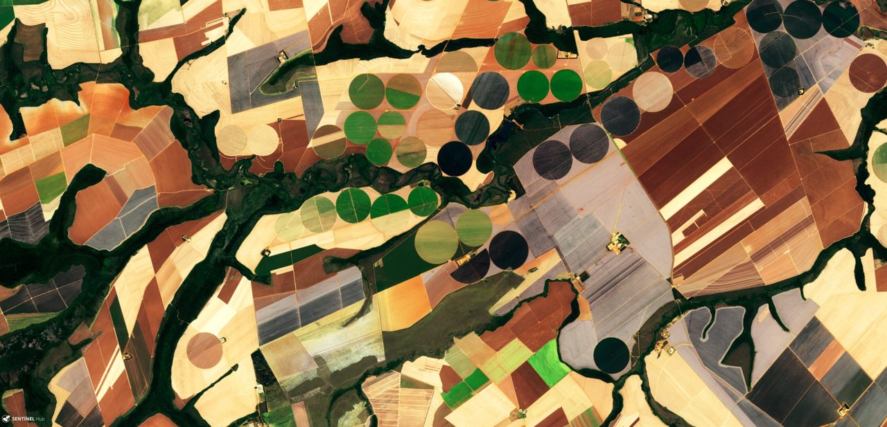 Grains rally as China feed deficit counters record Brazil crop
