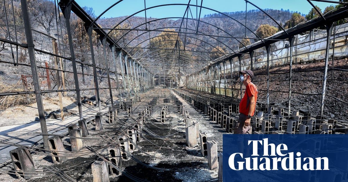 ECB to probe nature risks as ecosystem decline hits bank credit