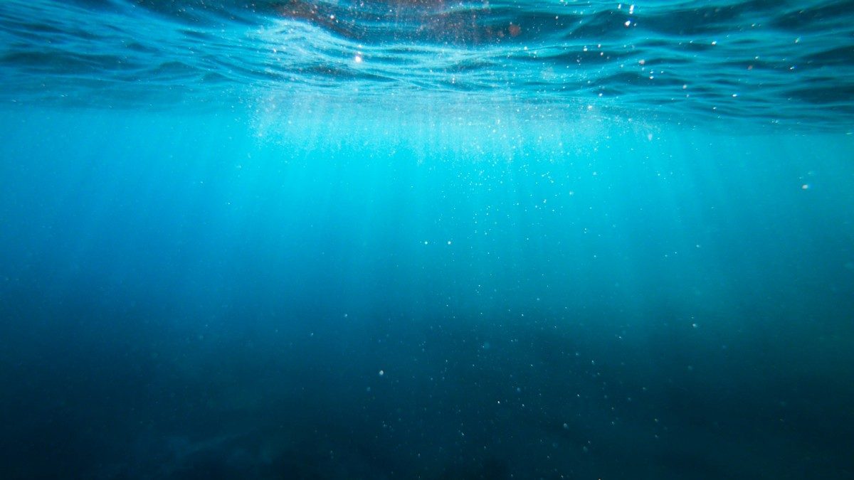 Fishlike Nanorobots Could Become America’s Answer to China’s Lithium Grip