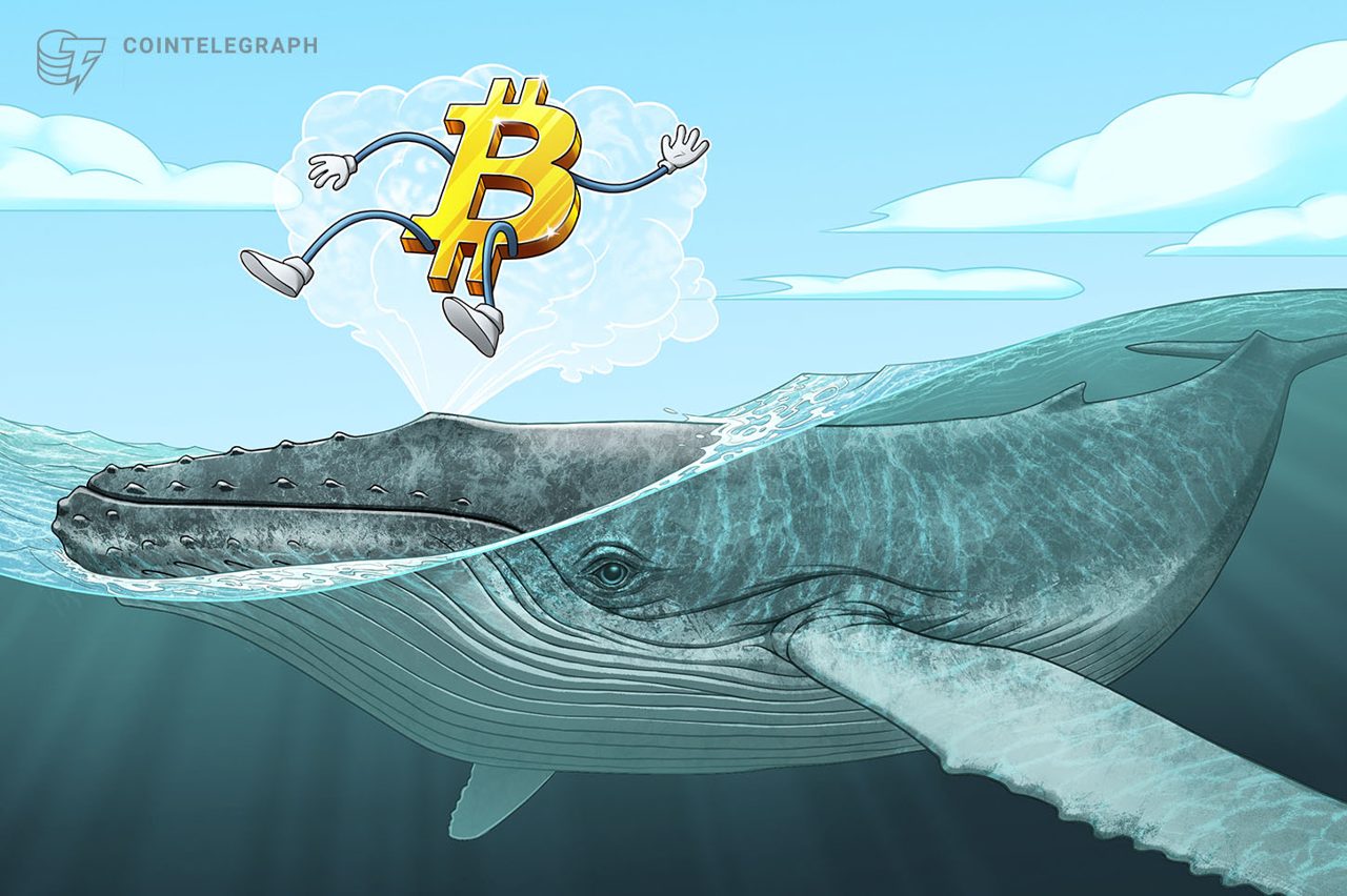 Bitcoin long-term holders halt selling as dormant activity hits four-year low